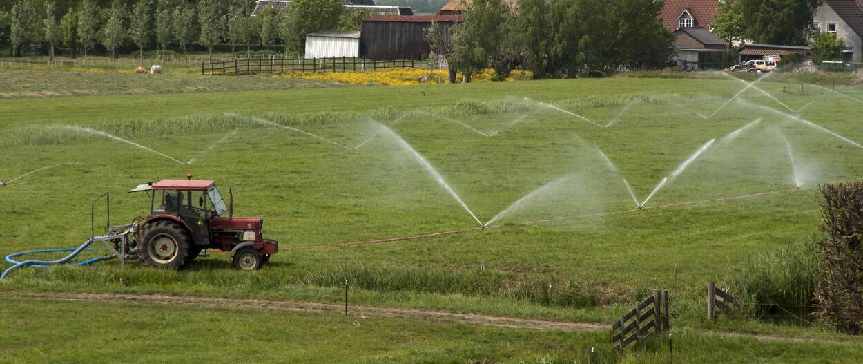 Weiland waarop sproeiers staan en een traktor rondrijdt