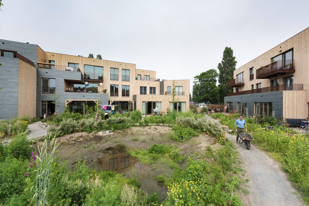 Op een groene binnenplaats tussen moderne huizen ligt een plas water