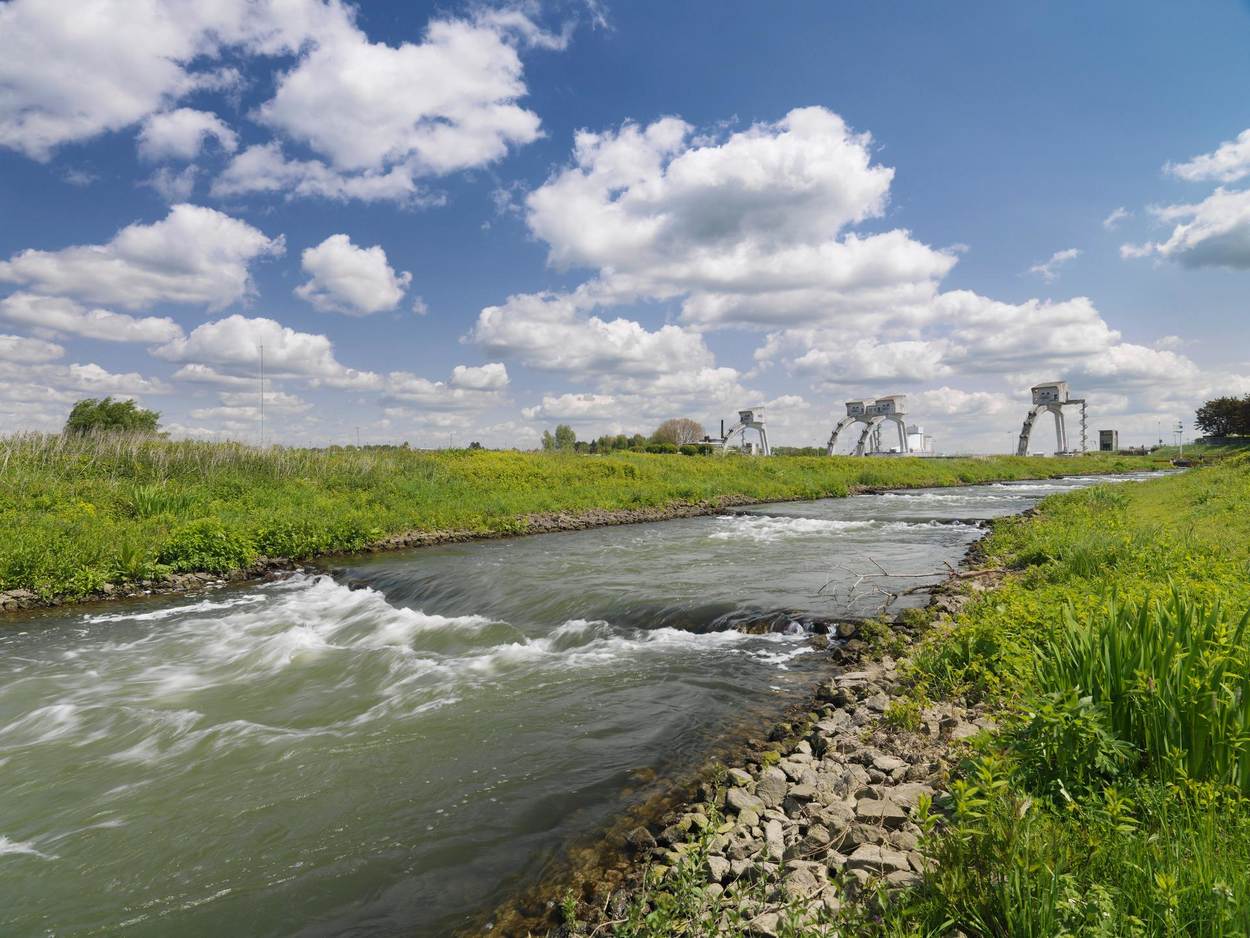 Gras groeit langs een stroompje