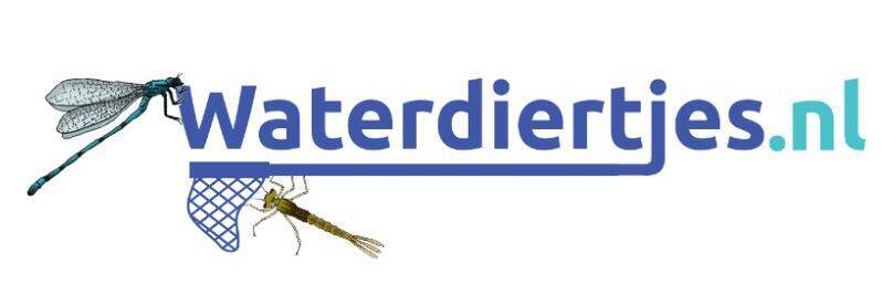 logo waterdiertjes