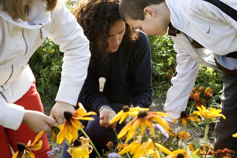 Drie mensen plukken bloemen