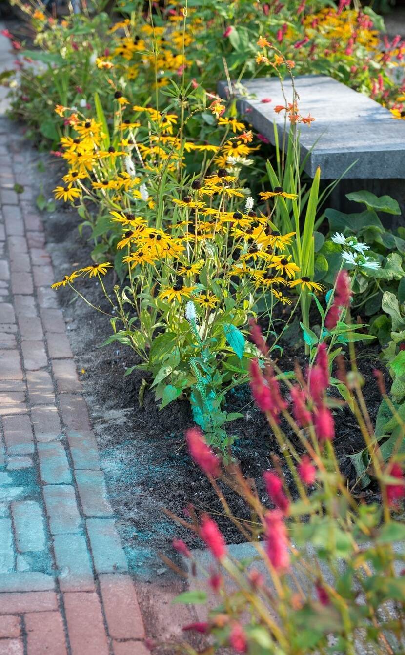 Tuinpad met betonnen bankje en bloemen