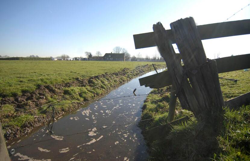 Hek bij sloot in Nederland