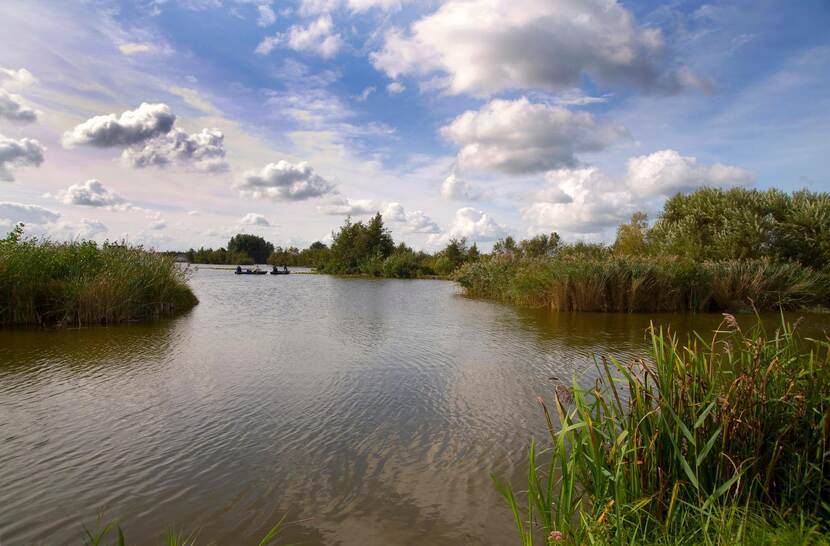 Op een waterplas met aan weerszijden riet, varen twee bootjes.