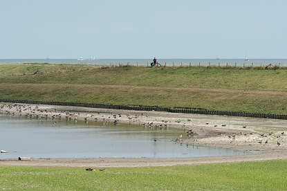 Plas nabij een dijk die is opgedroogd vanwege aanhoudende hitte