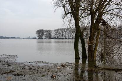 Overstroomde Waal bij dorpje Wamel