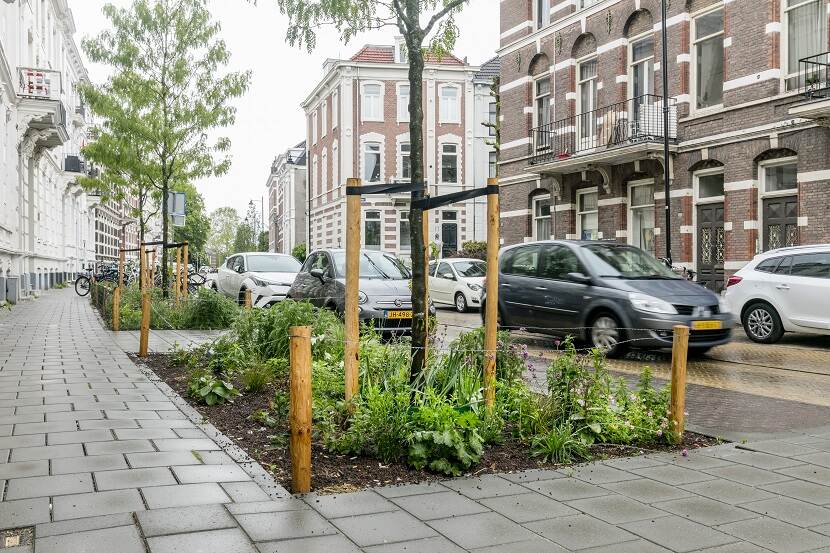 Groenstruik in straat om wateroverlast tegen te gaan