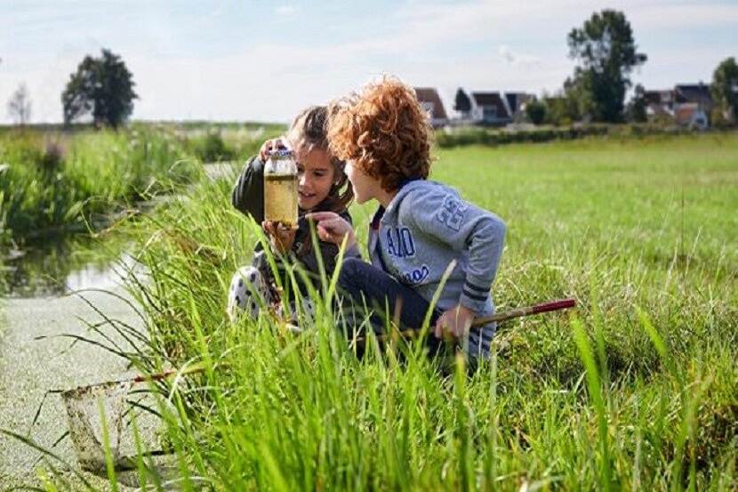 Twee kinderen bekijken slootwater door een glazen pot bij een slootje