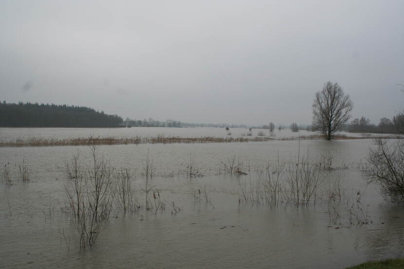 Hoogwater bij de IJssel