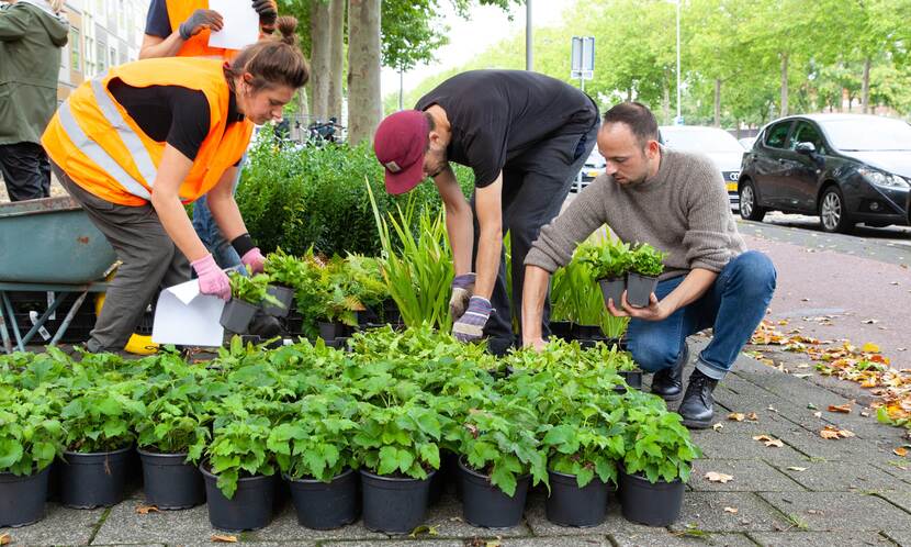 mensen planten groen