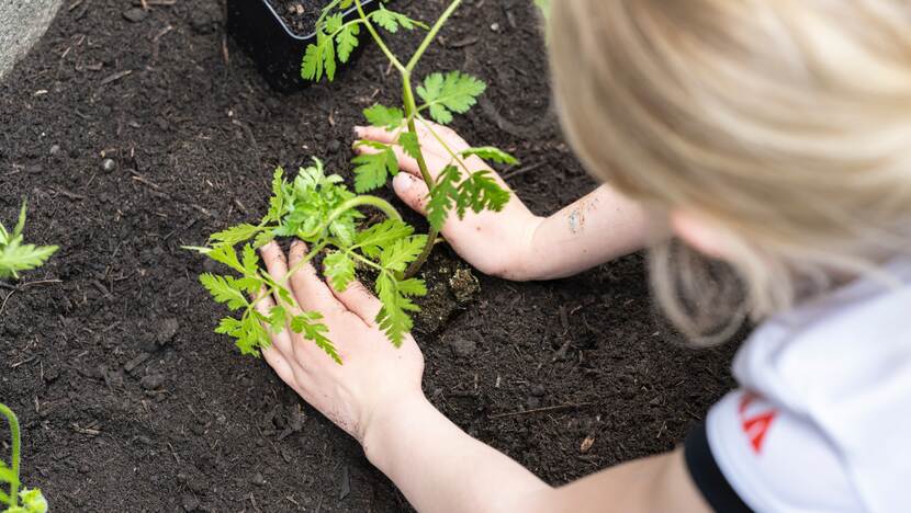 meisje plant plantje