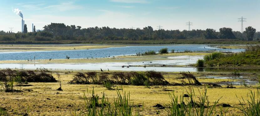 Polder Noodwaard