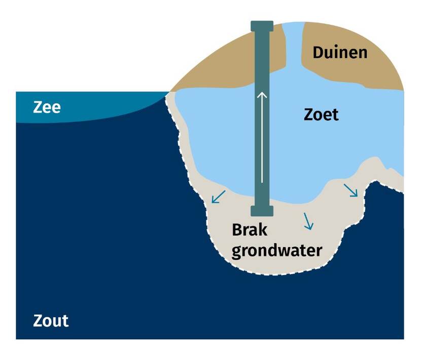 Infographic Dunea brak water