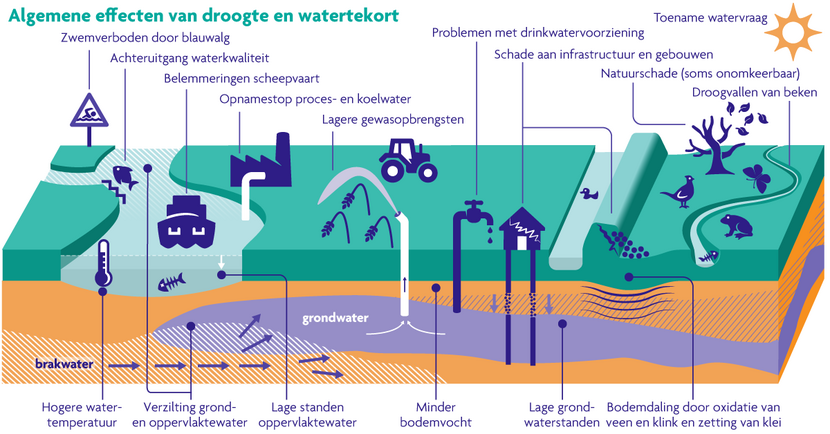 infographic gevolgen van droogte