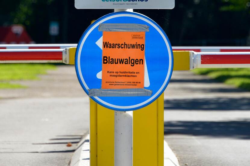 waarschuwingsbord blauwalgen in het zwemwater