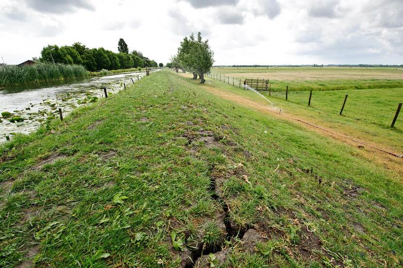 Veendijk met scheuring door droogte