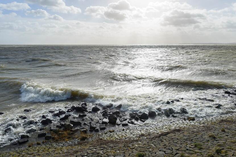 Natuurgebied Andijk