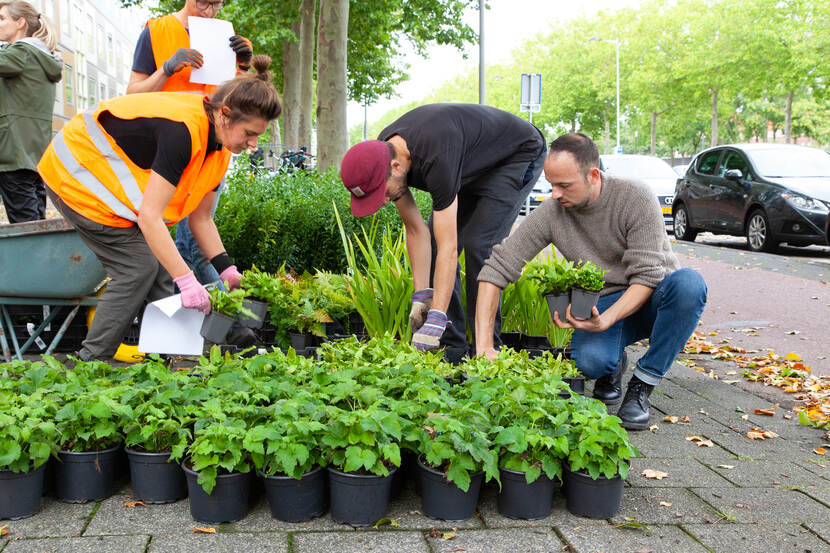 mensen bij plantenactie op straat