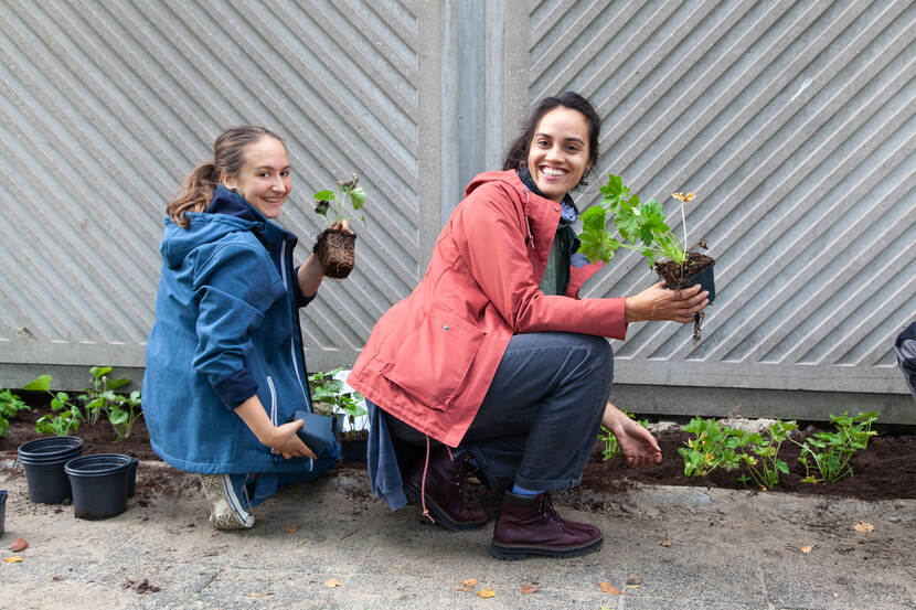 twee vrouwen planten gevelplantjes