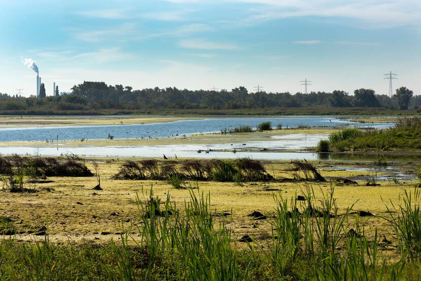 Polder Noordwaard