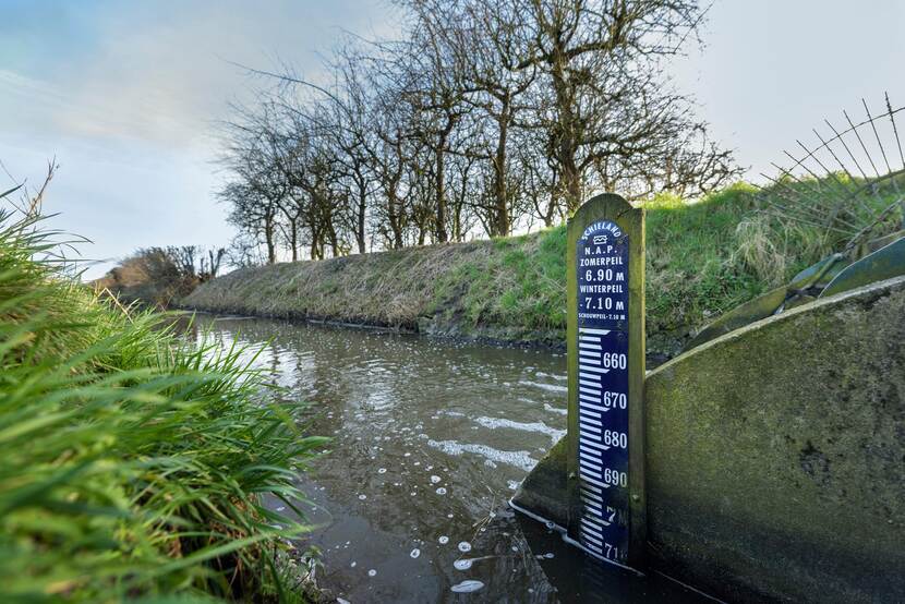 Een peilschaal om het waterpeil te meten staat in een slootje.