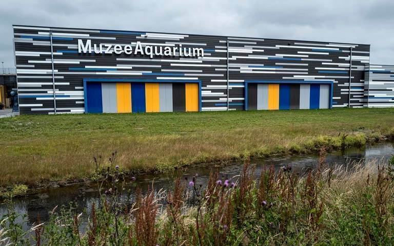 MuzeeAquarium