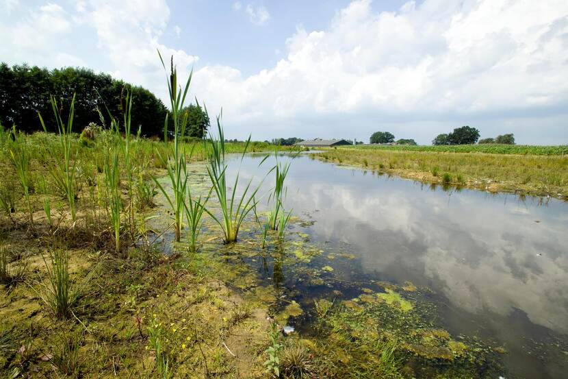 De Doorbraak in Waterschap Vechtstromen