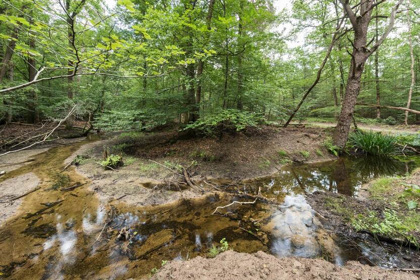 natuurgebied in Waterschap Vallei en Veluwe