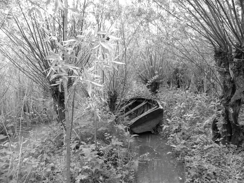 Zwart-wit foto van een bootje in de Biesbosch