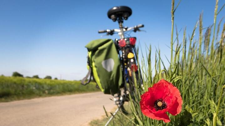geparkeerde fiets op fietspad naast gras