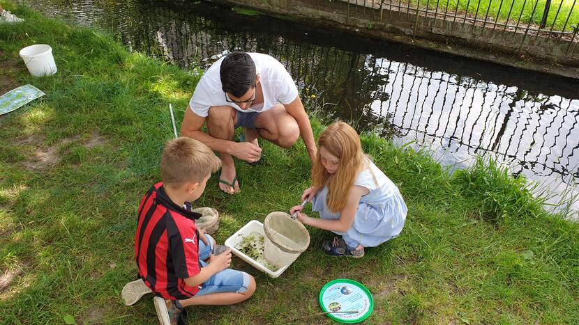 spelonderdeel van waterspelen weizigt