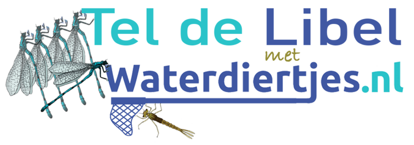 Banner waterdiertjes tel de libel