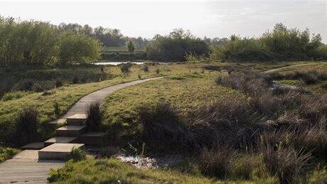 De Vecht