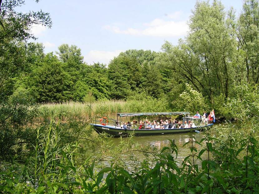 fluisterboot in water