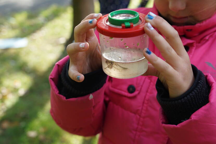 kind onderzoekt potje water