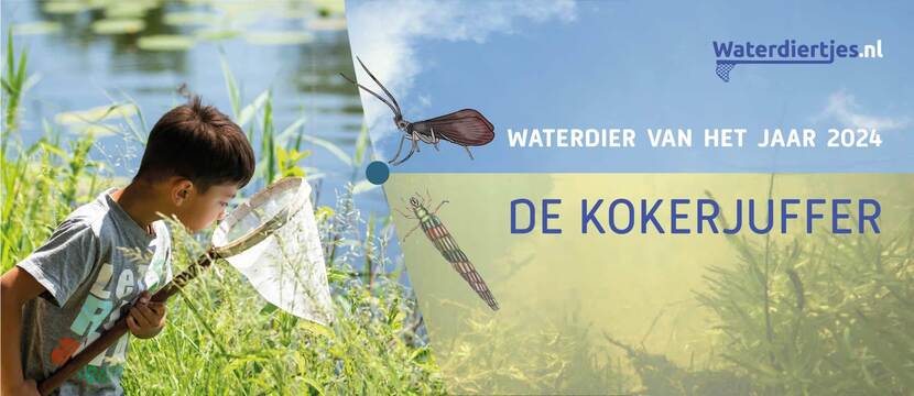 banner waterdiertjescampagne 2024