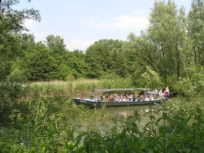 fluisterboot in het water