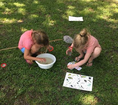kinderen vangen waterbeestjes