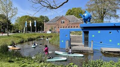 bever knaagt aan boom