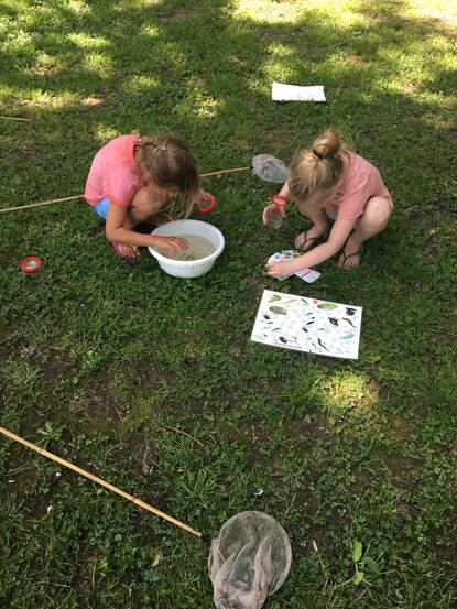 kinderen onderzoeken waterbeestjes